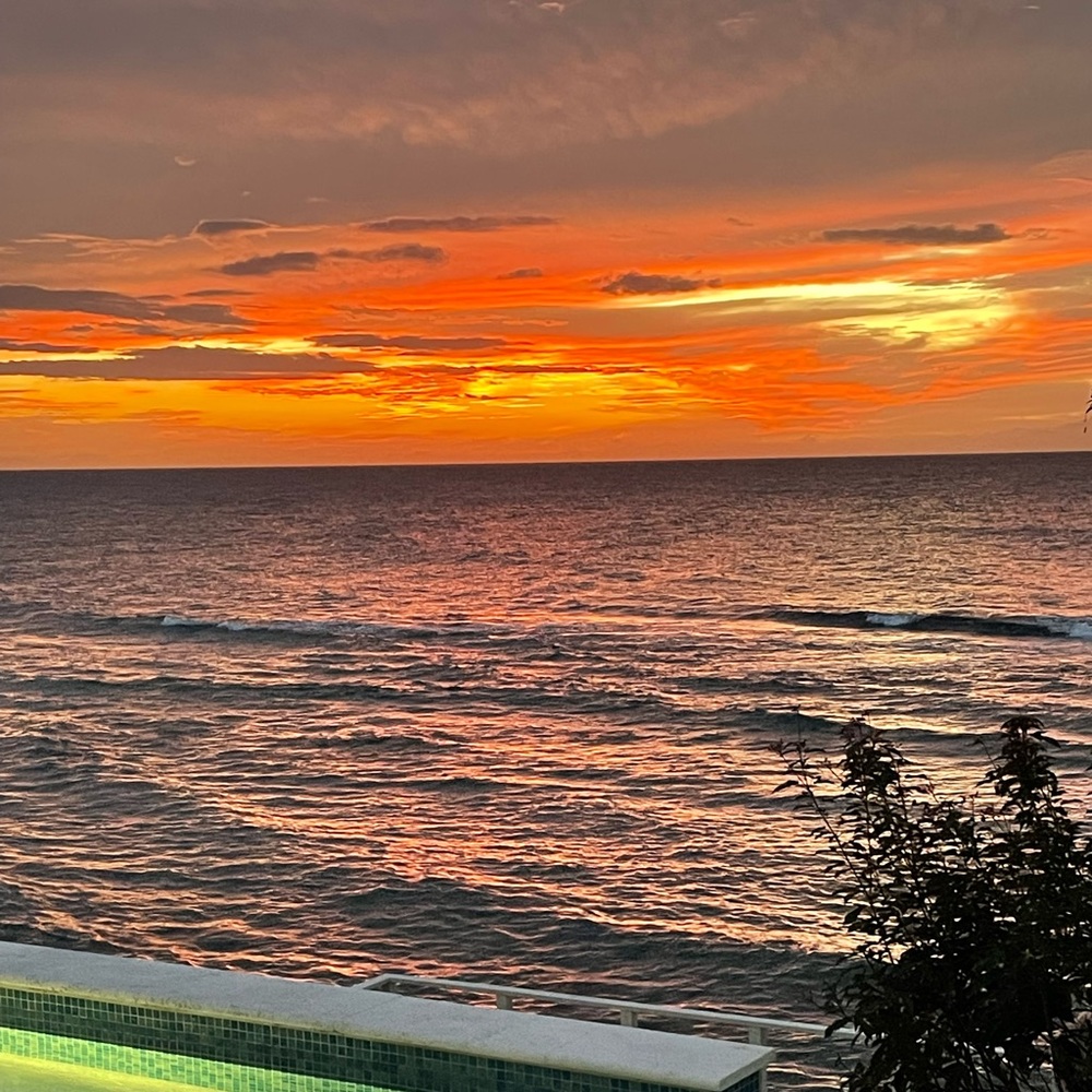 Meet your Posher, Meredith